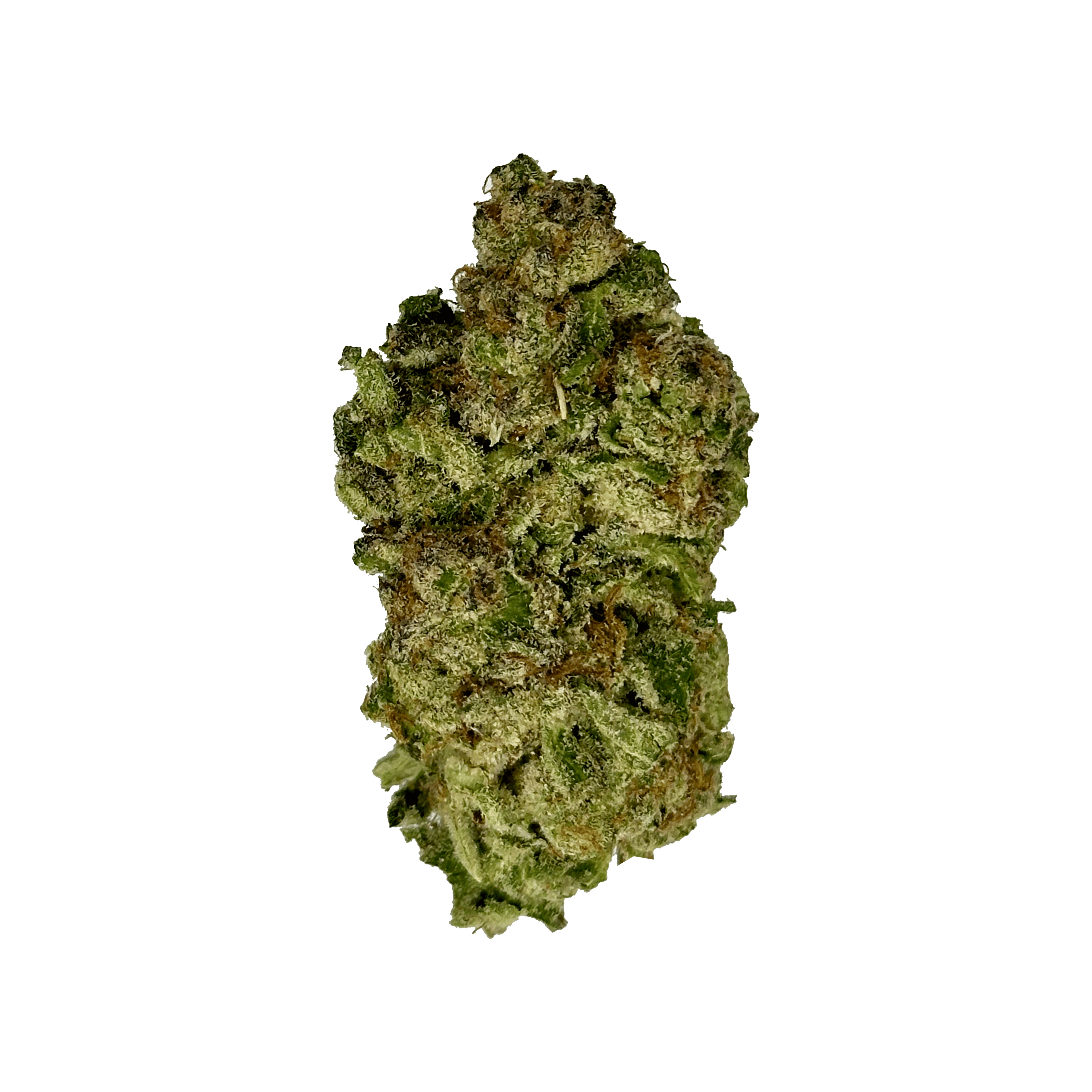 White Truffle Strain - THCA Flower